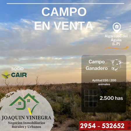 Foto Campo en Venta en Algarrobo Del Aguila, La Pampa - U$D 180.000 - pix1191361291 - BienesOnLine
