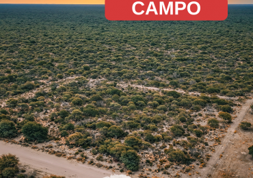 CAMPO GANADERO EN VENTA -   LA PASTORIL (L.P) 